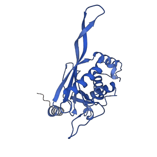 11270_6zlo_KA_v1-2
E2 core of the fungal Pyruvate dehydrogenase complex with asymmetric interior PX30 component