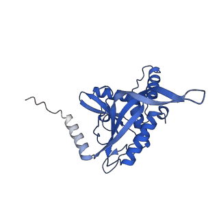 11270_6zlo_L_v1-2
E2 core of the fungal Pyruvate dehydrogenase complex with asymmetric interior PX30 component