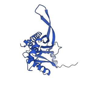 11270_6zlo_MA_v1-2
E2 core of the fungal Pyruvate dehydrogenase complex with asymmetric interior PX30 component