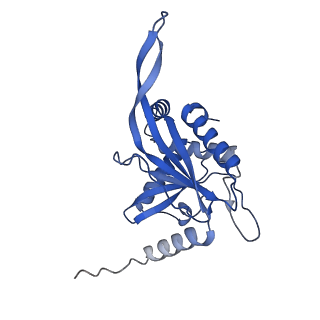 11270_6zlo_OA_v1-2
E2 core of the fungal Pyruvate dehydrogenase complex with asymmetric interior PX30 component