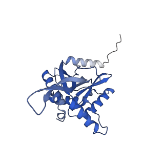11270_6zlo_P_v1-2
E2 core of the fungal Pyruvate dehydrogenase complex with asymmetric interior PX30 component