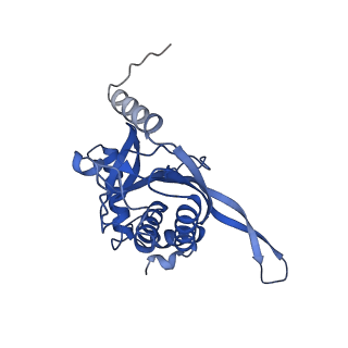11270_6zlo_QA_v1-2
E2 core of the fungal Pyruvate dehydrogenase complex with asymmetric interior PX30 component