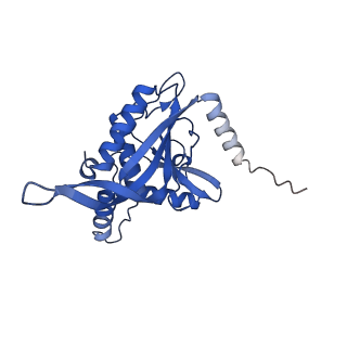 11270_6zlo_Q_v1-2
E2 core of the fungal Pyruvate dehydrogenase complex with asymmetric interior PX30 component