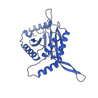 11270_6zlo_RA_v1-2
E2 core of the fungal Pyruvate dehydrogenase complex with asymmetric interior PX30 component