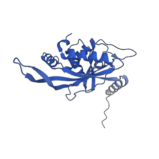 11270_6zlo_R_v1-2
E2 core of the fungal Pyruvate dehydrogenase complex with asymmetric interior PX30 component