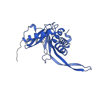 11270_6zlo_SA_v1-2
E2 core of the fungal Pyruvate dehydrogenase complex with asymmetric interior PX30 component