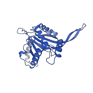 11270_6zlo_UA_v1-2
E2 core of the fungal Pyruvate dehydrogenase complex with asymmetric interior PX30 component