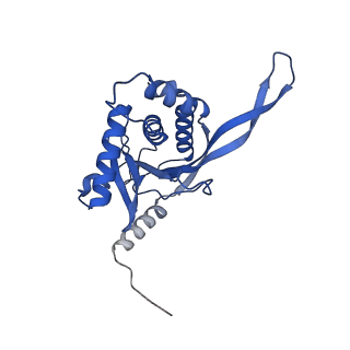 11270_6zlo_VA_v1-2
E2 core of the fungal Pyruvate dehydrogenase complex with asymmetric interior PX30 component