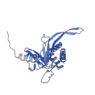 11270_6zlo_XA_v1-2
E2 core of the fungal Pyruvate dehydrogenase complex with asymmetric interior PX30 component