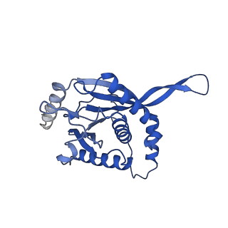 11270_6zlo_YA_v1-2
E2 core of the fungal Pyruvate dehydrogenase complex with asymmetric interior PX30 component