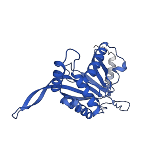 11270_6zlo_ZA_v1-2
E2 core of the fungal Pyruvate dehydrogenase complex with asymmetric interior PX30 component