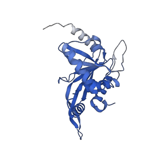 11270_6zlo_Z_v1-2
E2 core of the fungal Pyruvate dehydrogenase complex with asymmetric interior PX30 component