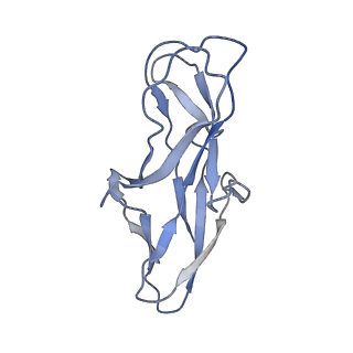 14777_7zl4_A_v1-1
Cryo-EM structure of archaic chaperone-usher Csu pilus of Acinetobacter baumannii