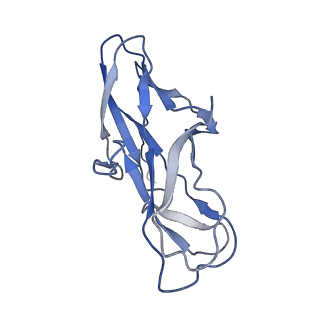 14777_7zl4_B_v1-1
Cryo-EM structure of archaic chaperone-usher Csu pilus of Acinetobacter baumannii