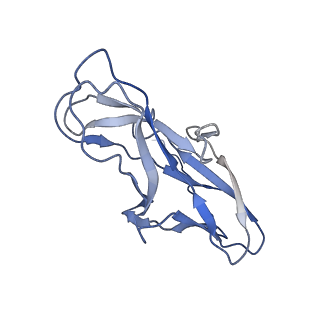 14777_7zl4_C_v1-1
Cryo-EM structure of archaic chaperone-usher Csu pilus of Acinetobacter baumannii