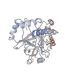 14778_7zla_A_v1-1
Cryo-EM structure of holo-PdxR from Bacillus clausii bound to its target DNA in the half-closed conformation