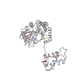 14778_7zla_B_v1-1
Cryo-EM structure of holo-PdxR from Bacillus clausii bound to its target DNA in the half-closed conformation