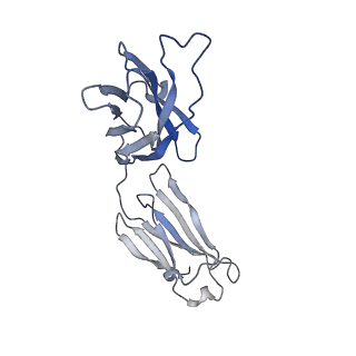 14782_7zlj_H_v1-2
Cryo-EM structure of C-mannosyltransferase CeDPY19, in ternary complex with Dol25-P-C-Man and acceptor peptide, bound to CMT2-Fab and anti-Fab nanobody