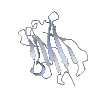 14782_7zlj_K_v1-2
Cryo-EM structure of C-mannosyltransferase CeDPY19, in ternary complex with Dol25-P-C-Man and acceptor peptide, bound to CMT2-Fab and anti-Fab nanobody
