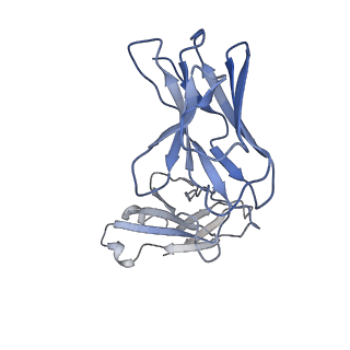 14782_7zlj_L_v1-2
Cryo-EM structure of C-mannosyltransferase CeDPY19, in ternary complex with Dol25-P-C-Man and acceptor peptide, bound to CMT2-Fab and anti-Fab nanobody
