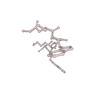 14782_7zlj_P_v1-2
Cryo-EM structure of C-mannosyltransferase CeDPY19, in ternary complex with Dol25-P-C-Man and acceptor peptide, bound to CMT2-Fab and anti-Fab nanobody