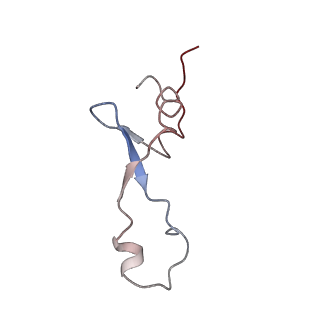6934_5zlu_AA_v1-3
Ribosome Structure bound to ABC-F protein.