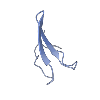 6934_5zlu_BB_v1-3
Ribosome Structure bound to ABC-F protein.