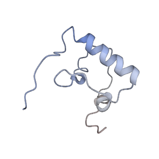 6934_5zlu_B_v1-3
Ribosome Structure bound to ABC-F protein.