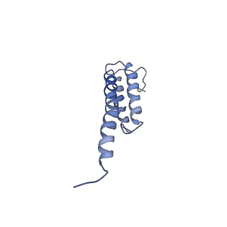 6934_5zlu_C_v1-3
Ribosome Structure bound to ABC-F protein.