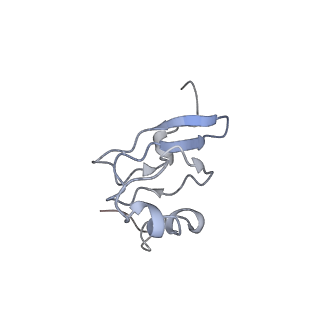 6934_5zlu_D_v1-3
Ribosome Structure bound to ABC-F protein.