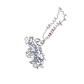6934_5zlu_EE_v1-3
Ribosome Structure bound to ABC-F protein.
