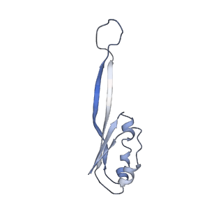 6934_5zlu_E_v1-3
Ribosome Structure bound to ABC-F protein.