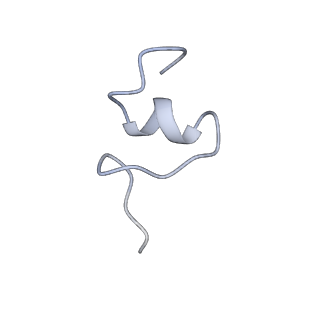 6934_5zlu_F_v1-3
Ribosome Structure bound to ABC-F protein.