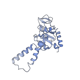 6934_5zlu_H_v1-3
Ribosome Structure bound to ABC-F protein.