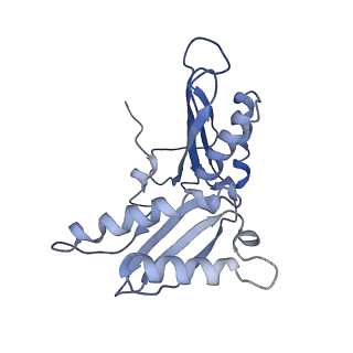 6934_5zlu_I_v1-3
Ribosome Structure bound to ABC-F protein.