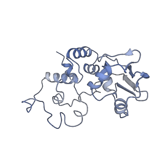 6934_5zlu_J_v1-3
Ribosome Structure bound to ABC-F protein.