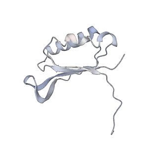 6934_5zlu_L_v1-3
Ribosome Structure bound to ABC-F protein.