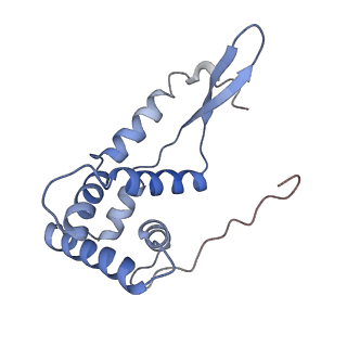 6934_5zlu_M_v1-3
Ribosome Structure bound to ABC-F protein.