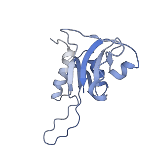 6934_5zlu_N_v1-3
Ribosome Structure bound to ABC-F protein.