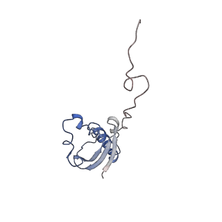 6934_5zlu_O_v1-3
Ribosome Structure bound to ABC-F protein.