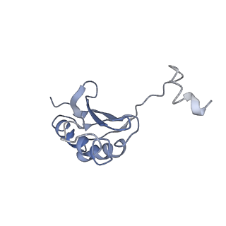 6934_5zlu_P_v1-3
Ribosome Structure bound to ABC-F protein.