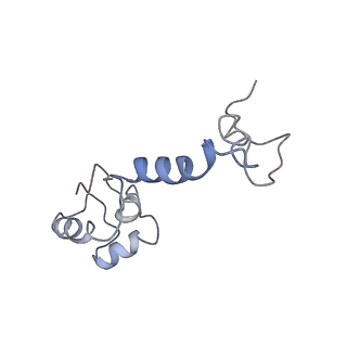 6934_5zlu_R_v1-3
Ribosome Structure bound to ABC-F protein.