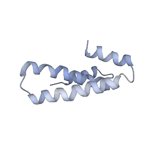 6934_5zlu_T_v1-3
Ribosome Structure bound to ABC-F protein.