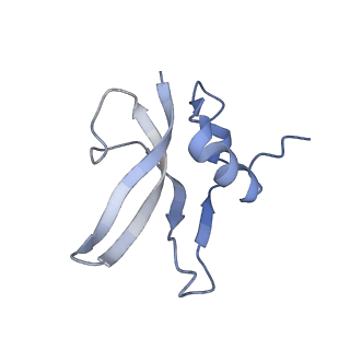 6934_5zlu_U_v1-3
Ribosome Structure bound to ABC-F protein.