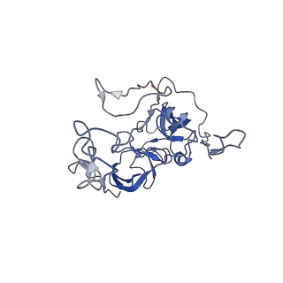 6934_5zlu_Z_v1-3
Ribosome Structure bound to ABC-F protein.