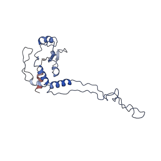 6934_5zlu_b_v1-3
Ribosome Structure bound to ABC-F protein.