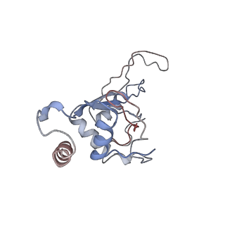 6934_5zlu_c_v1-3
Ribosome Structure bound to ABC-F protein.