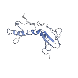 6934_5zlu_d_v1-3
Ribosome Structure bound to ABC-F protein.