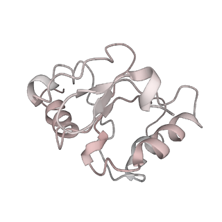 6934_5zlu_e_v1-3
Ribosome Structure bound to ABC-F protein.