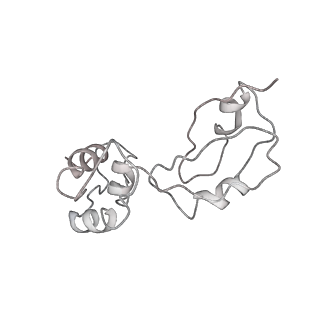 6934_5zlu_f_v1-3
Ribosome Structure bound to ABC-F protein.